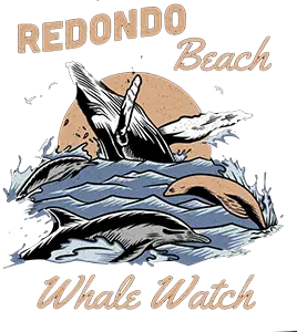 Redondo Beach Whale Watch